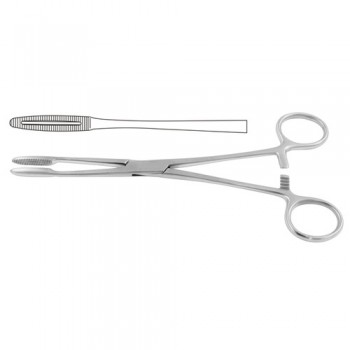 Gross-Maier Dressing Forcep Straight - With Ratchet Stainless Steel, 26.5 cm - 10 1/2"